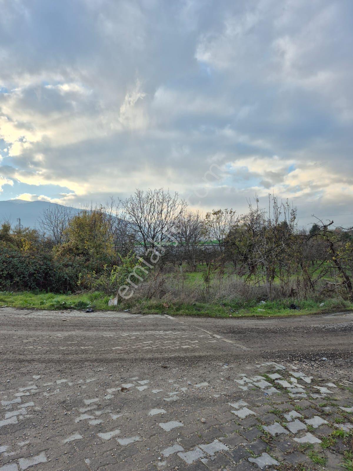 İnegöl Yeniceköy'de Sanayi İmarına Yakın Konumda Satılık 5000 M² Yola Cephe Tarla — fotoğraf 6