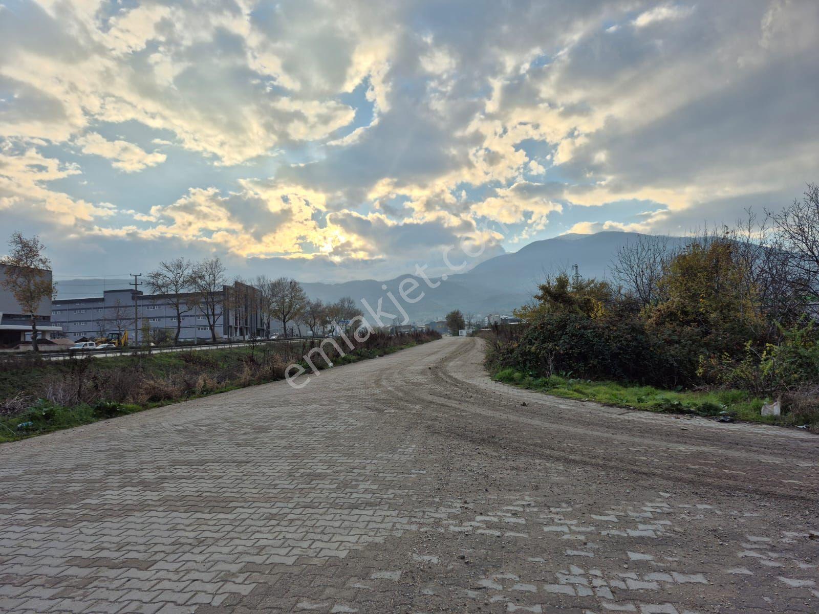 İnegöl Yeniceköy'de Sanayi İmarına Yakın Konumda Satılık 5000 M² Yola Cephe Tarla — fotoğraf 7