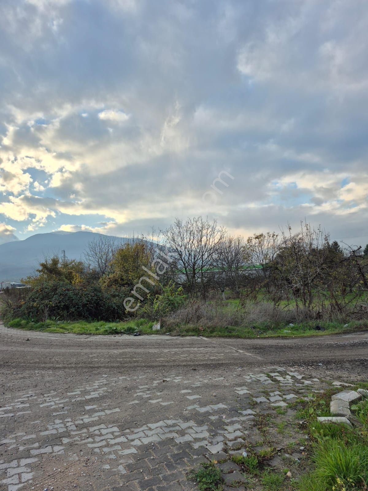 İnegöl Yeniceköy'de Sanayi İmarına Yakın Konumda Satılık 5000 M² Yola Cephe Tarla — fotoğraf 8