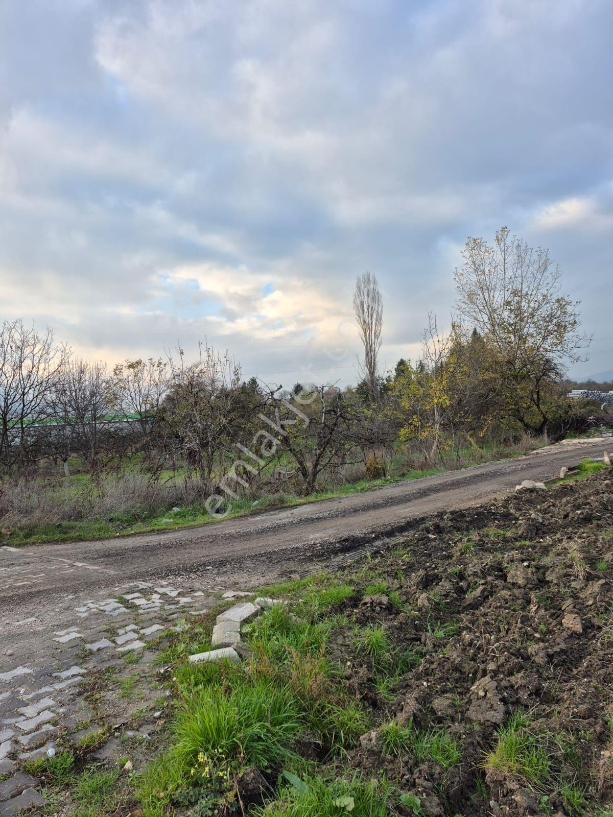 İnegöl Yeniceköy'de Sanayi İmarına Yakın Konumda Satılık 5000 M² Yola Cephe Tarla — fotoğraf 9