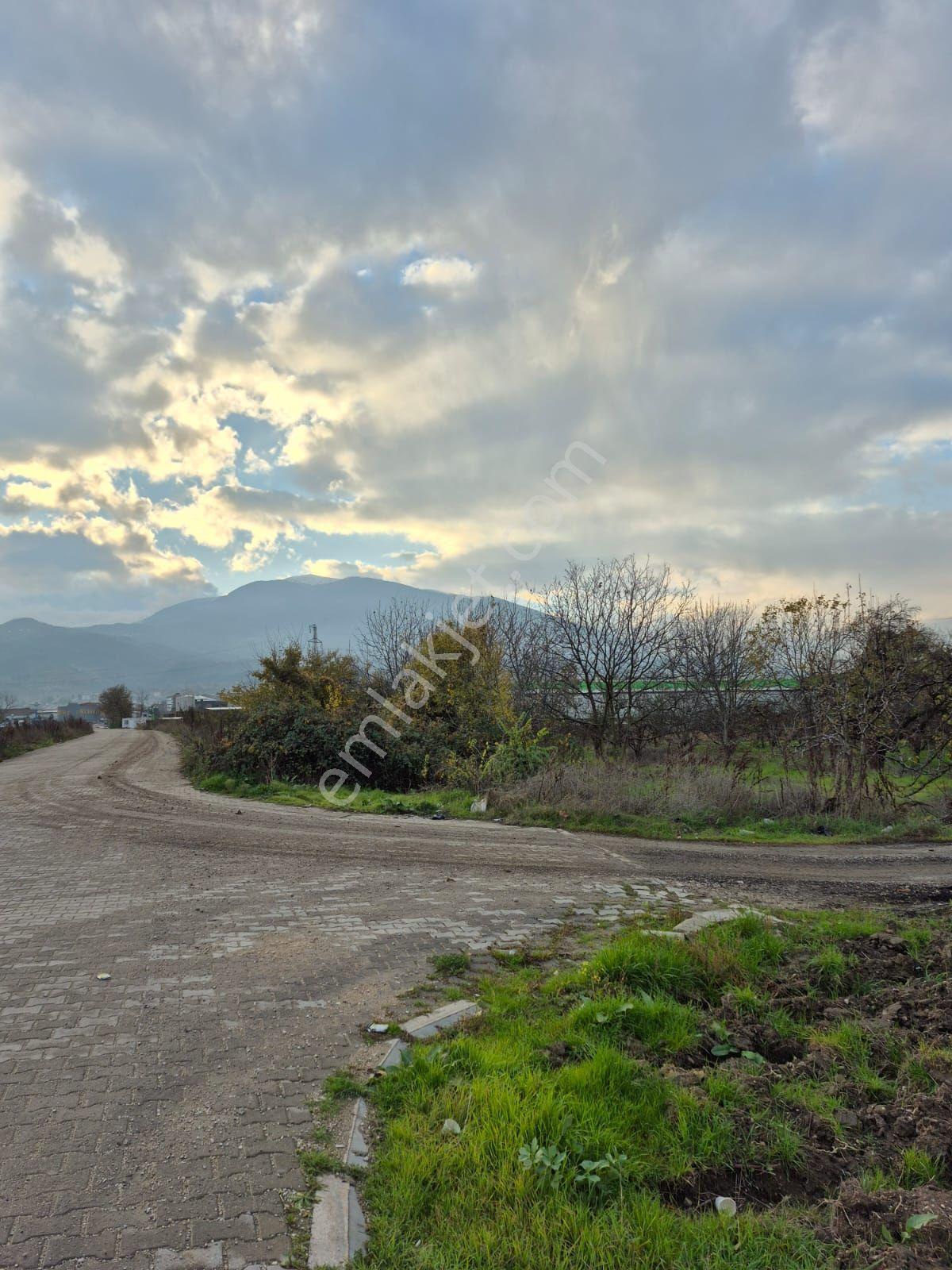 İnegöl Yeniceköy'de Sanayi İmarına Yakın Konumda Satılık 5000 M² Yola Cephe Tarla — fotoğraf 10