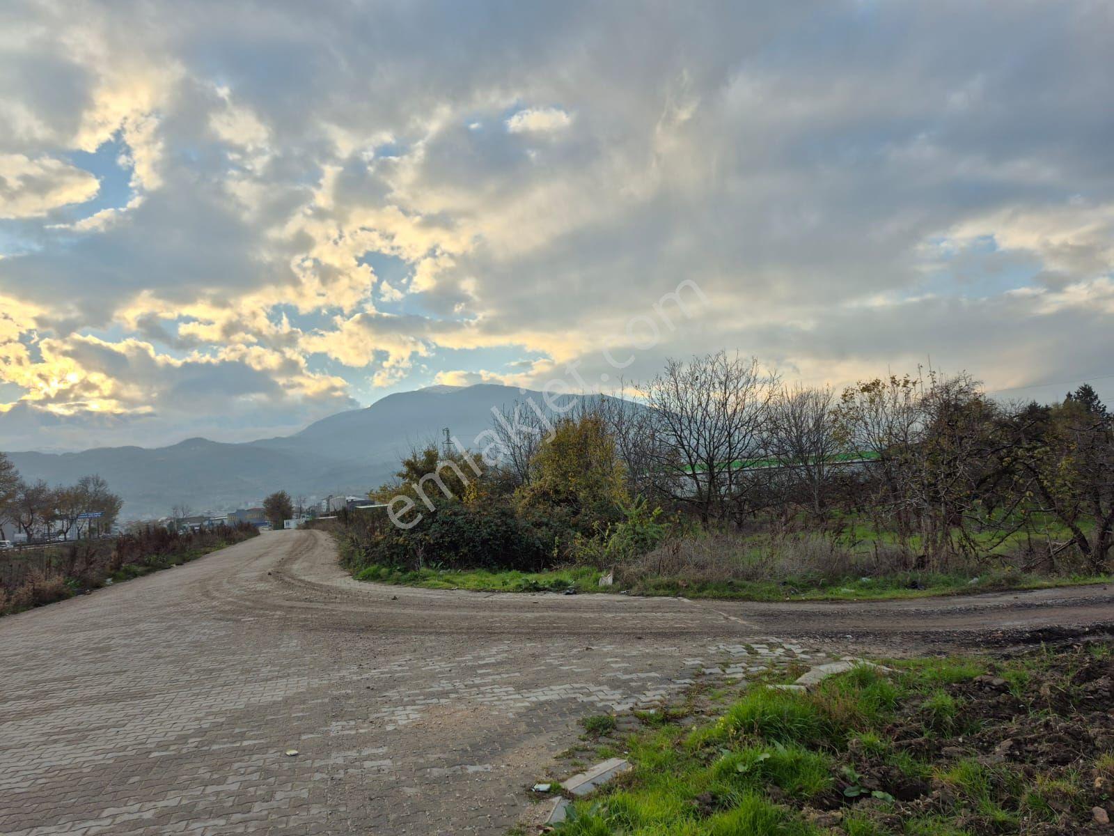 İnegöl Yeniceköy'de Sanayi İmarına Yakın Konumda Satılık 5000 M² Yola Cephe Tarla — fotoğraf 11