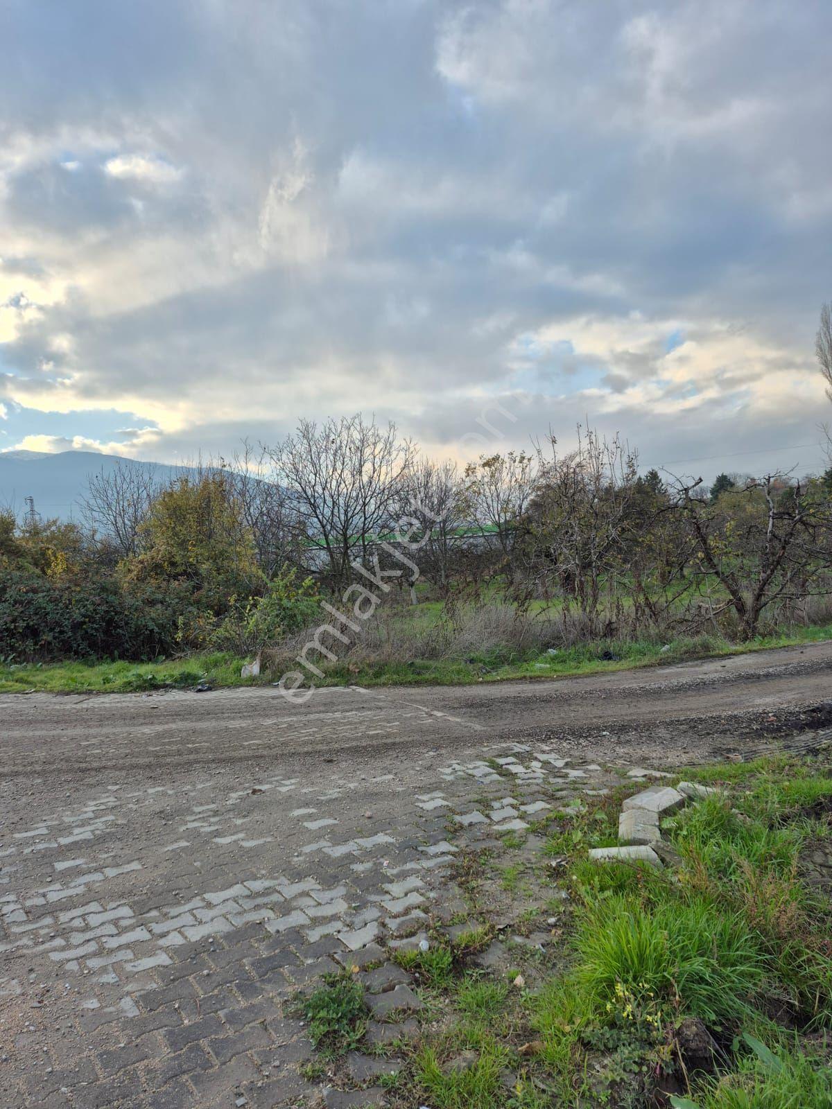 İnegöl Yeniceköy'de Sanayi İmarına Yakın Konumda Satılık 5000 M² Yola Cephe Tarla — fotoğraf 12