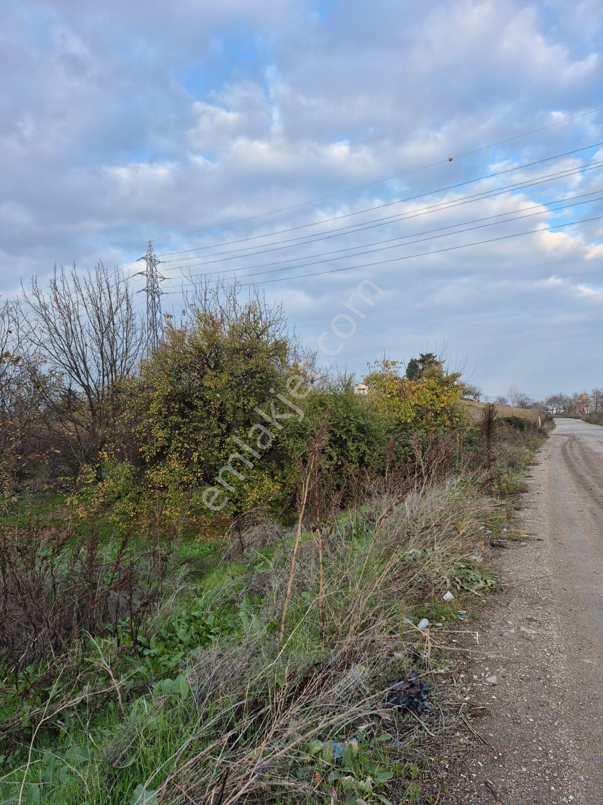 İnegöl Yeniceköy'de Sanayi İmarına Yakın Konumda Satılık 5000 M² Yola Cephe Tarla — fotoğraf 13