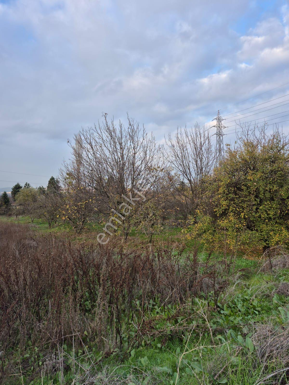 İnegöl Yeniceköy'de Sanayi İmarına Yakın Konumda Satılık 5000 M² Yola Cephe Tarla — fotoğraf 14