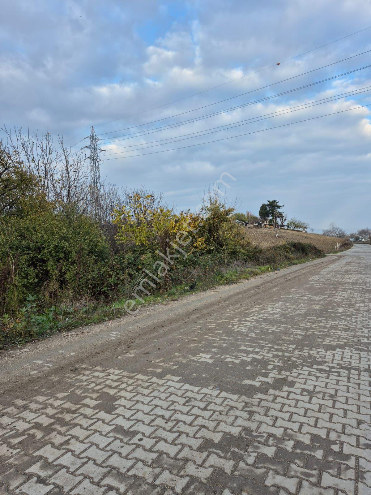 İnegöl Yeniceköy'de Sanayi İmarına Yakın Konumda Satılık 5000 M² Yola Cephe Tarla — fotoğraf 16