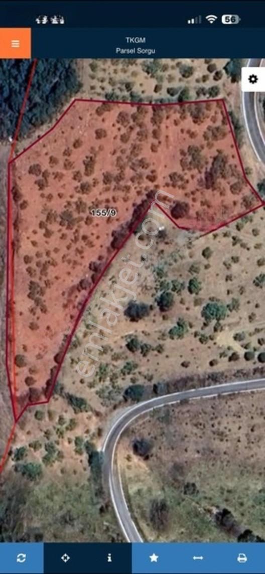 İncirliova Yolu Üzeri 5750 M2 Verimiyüksek Bakmlı İncirlik — fotoğraf 2