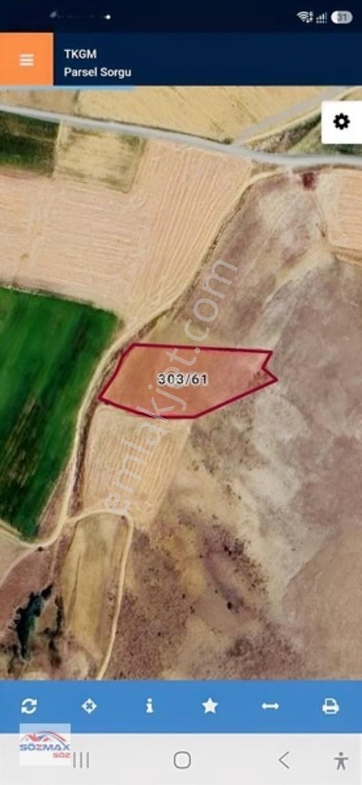 Elmalı'da Satılık Tarla 7.031m Tek Tapu — fotoğraf 2