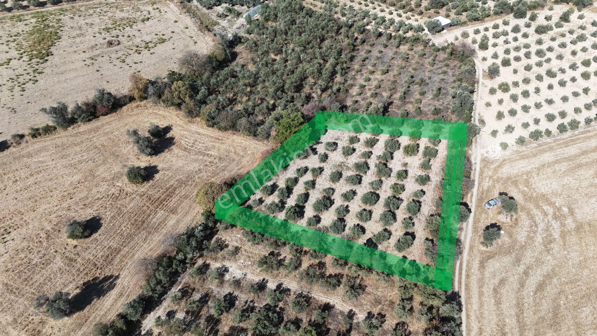 İzmir Menderes Sancaklıda 3 Dönüm Manzaralı İmarda Kupon Arsa — fotoğraf 8