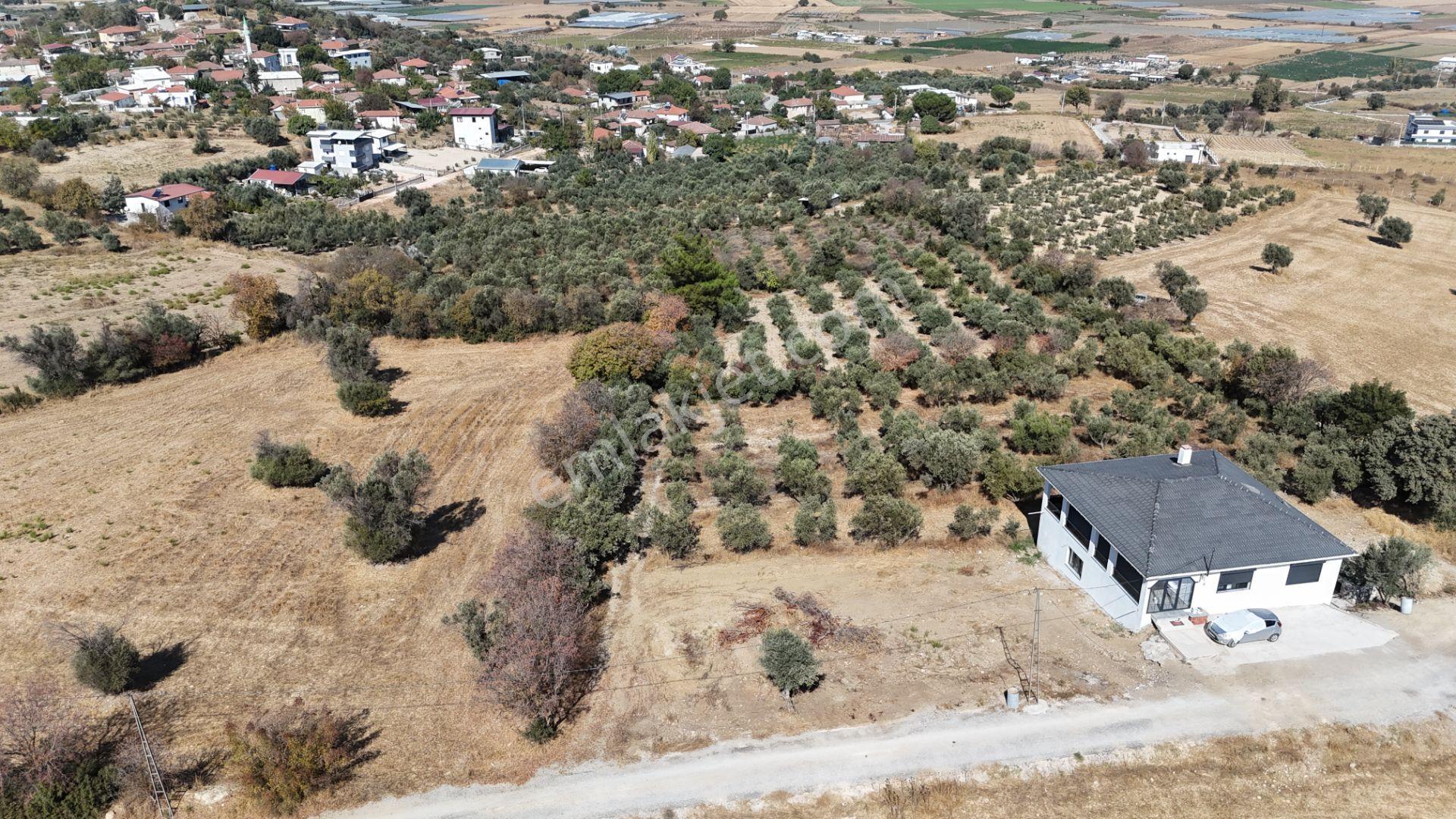 İzmir Menderes Sancaklıda 3 Dönüm Manzaralı İmarda Kupon Arsa — fotoğraf 9