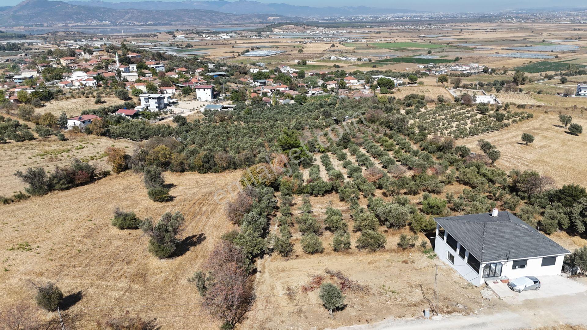 İzmir Menderes Sancaklıda 3 Dönüm Manzaralı İmarda Kupon Arsa — fotoğraf 11