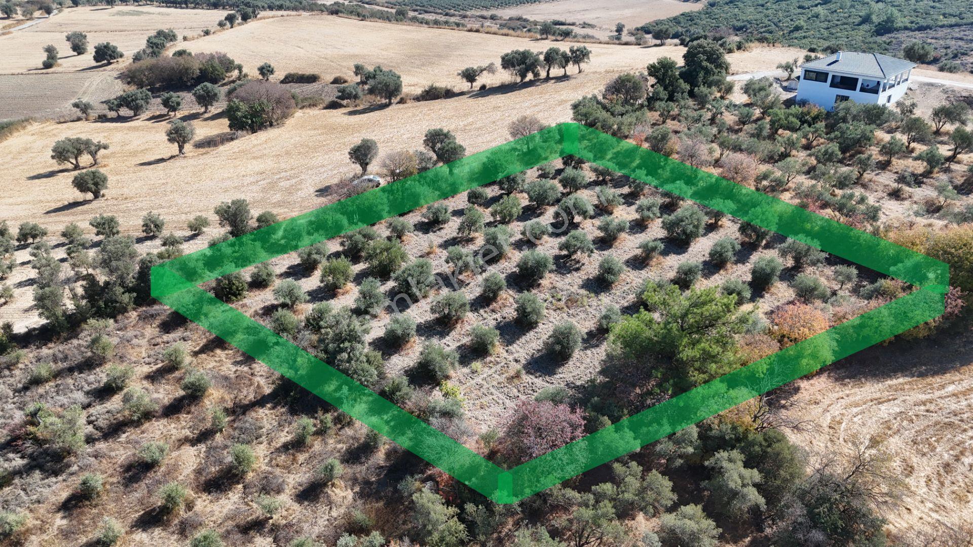 İzmir Menderes Sancaklıda 3 Dönüm Manzaralı İmarda Kupon Arsa — fotoğraf 12