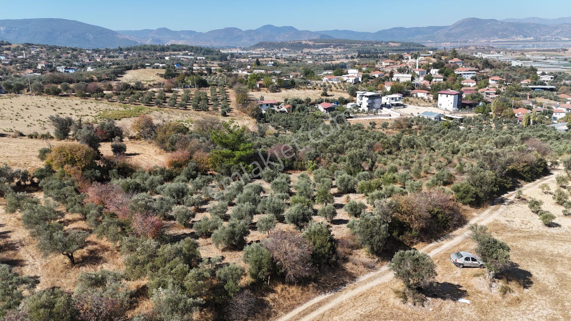 İzmir Menderes Sancaklıda 3 Dönüm Manzaralı İmarda Kupon Arsa — fotoğraf 13