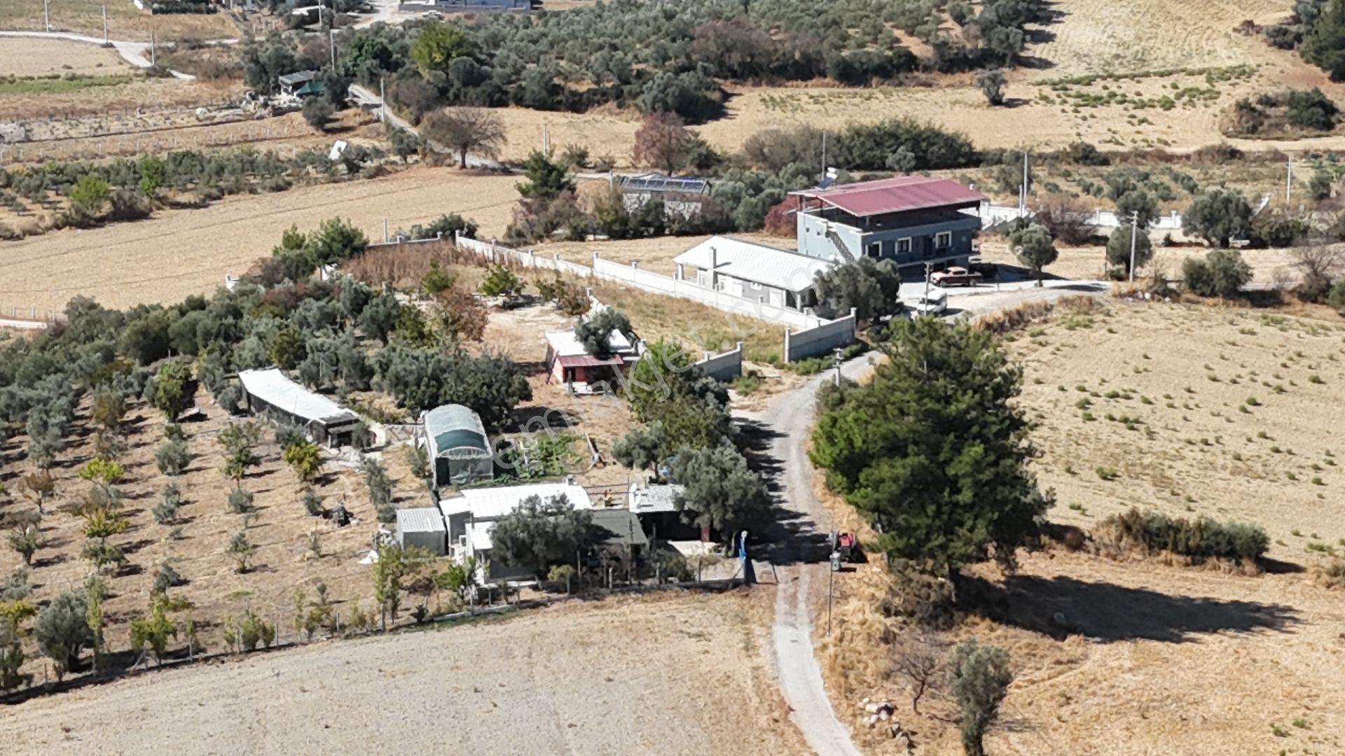 İzmir Menderes Sancaklıda 3 Dönüm Manzaralı İmarda Kupon Arsa — fotoğraf 14