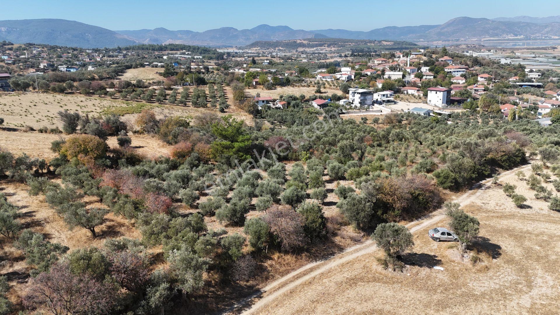 İzmir Menderes Sancaklıda 3 Dönüm Manzaralı İmarda Kupon Arsa — fotoğraf 22