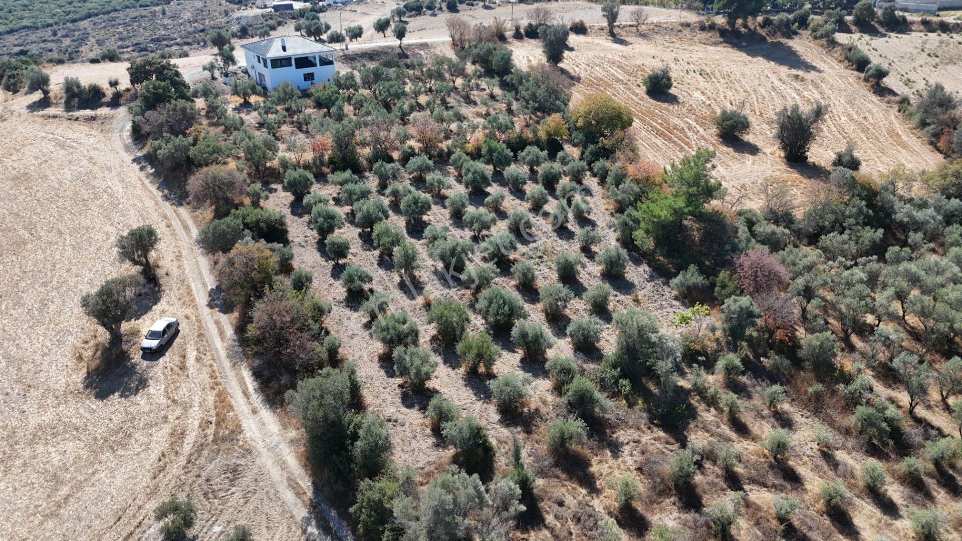 İzmir Menderes Sancaklıda 3 Dönüm Manzaralı İmarda Kupon Arsa — fotoğraf 27