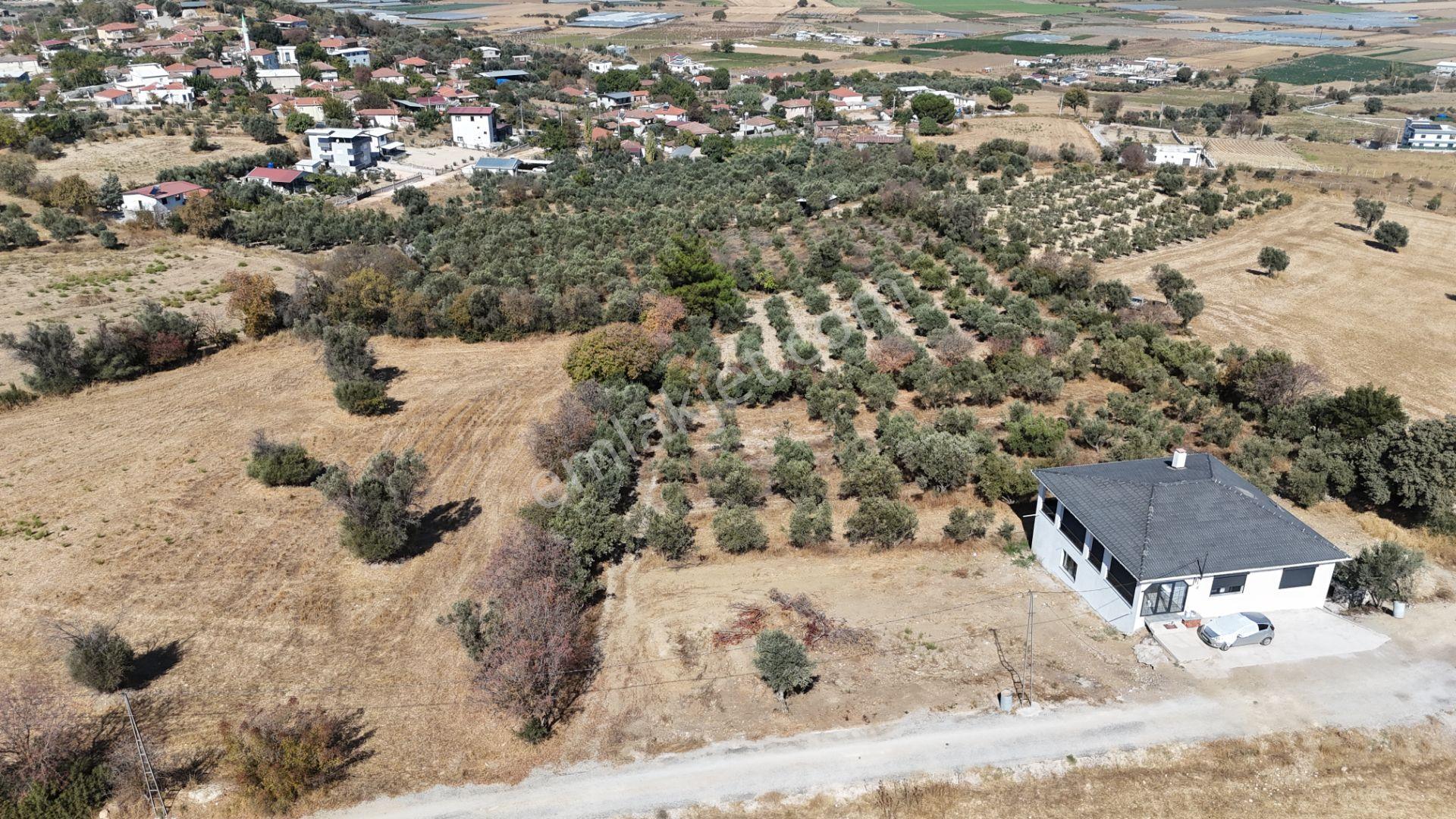 İzmir Menderes Sancaklıda 3 Dönüm Manzaralı İmarda Kupon Arsa — fotoğraf 28