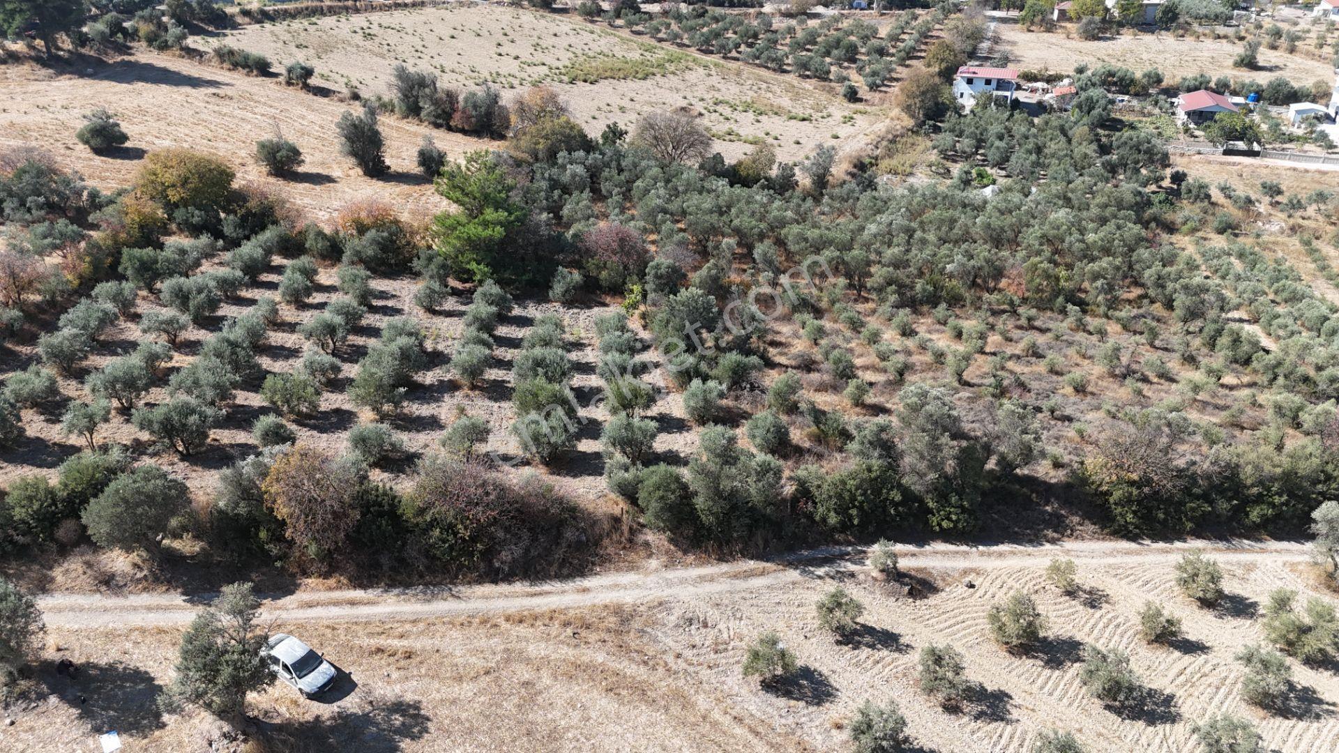İzmir Menderes Sancaklıda 3 Dönüm Manzaralı İmarda Kupon Arsa — fotoğraf 29