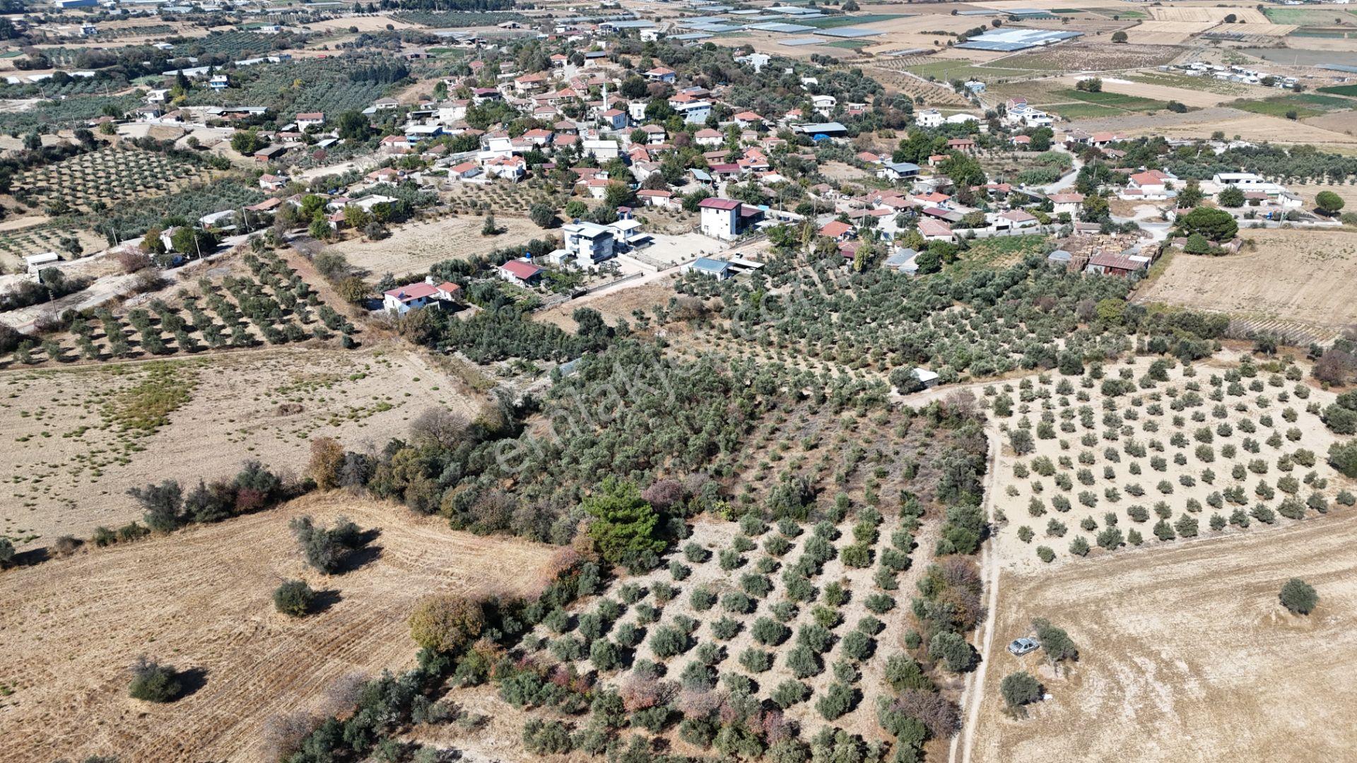İzmir Menderes Sancaklıda 3 Dönüm Manzaralı İmarda Kupon Arsa — fotoğraf 31