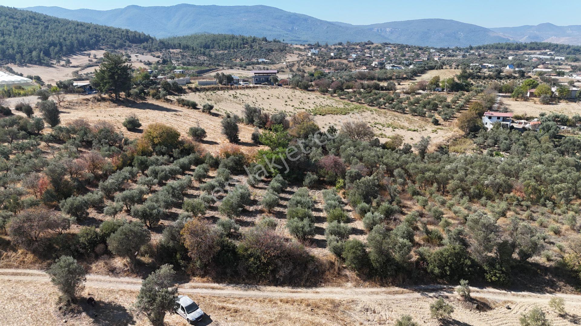 İzmir Menderes Sancaklıda 3 Dönüm Manzaralı İmarda Kupon Arsa — fotoğraf 32