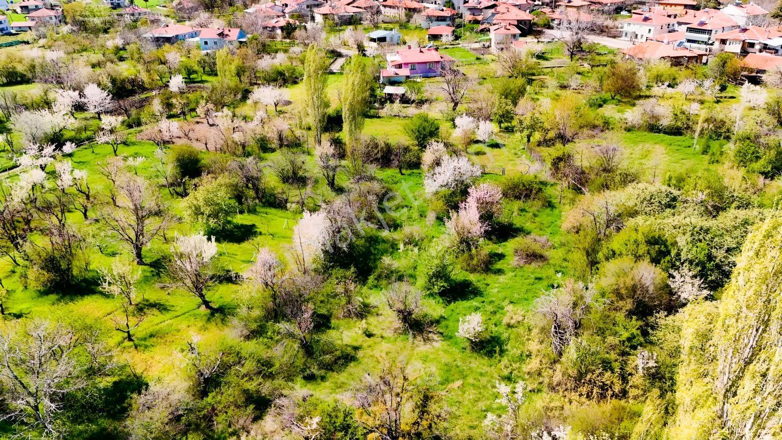 Ayaş Yağmurdede'de Köy Yerleşik Alanı İçinde Geleceğe Yatırım — fotoğraf 2