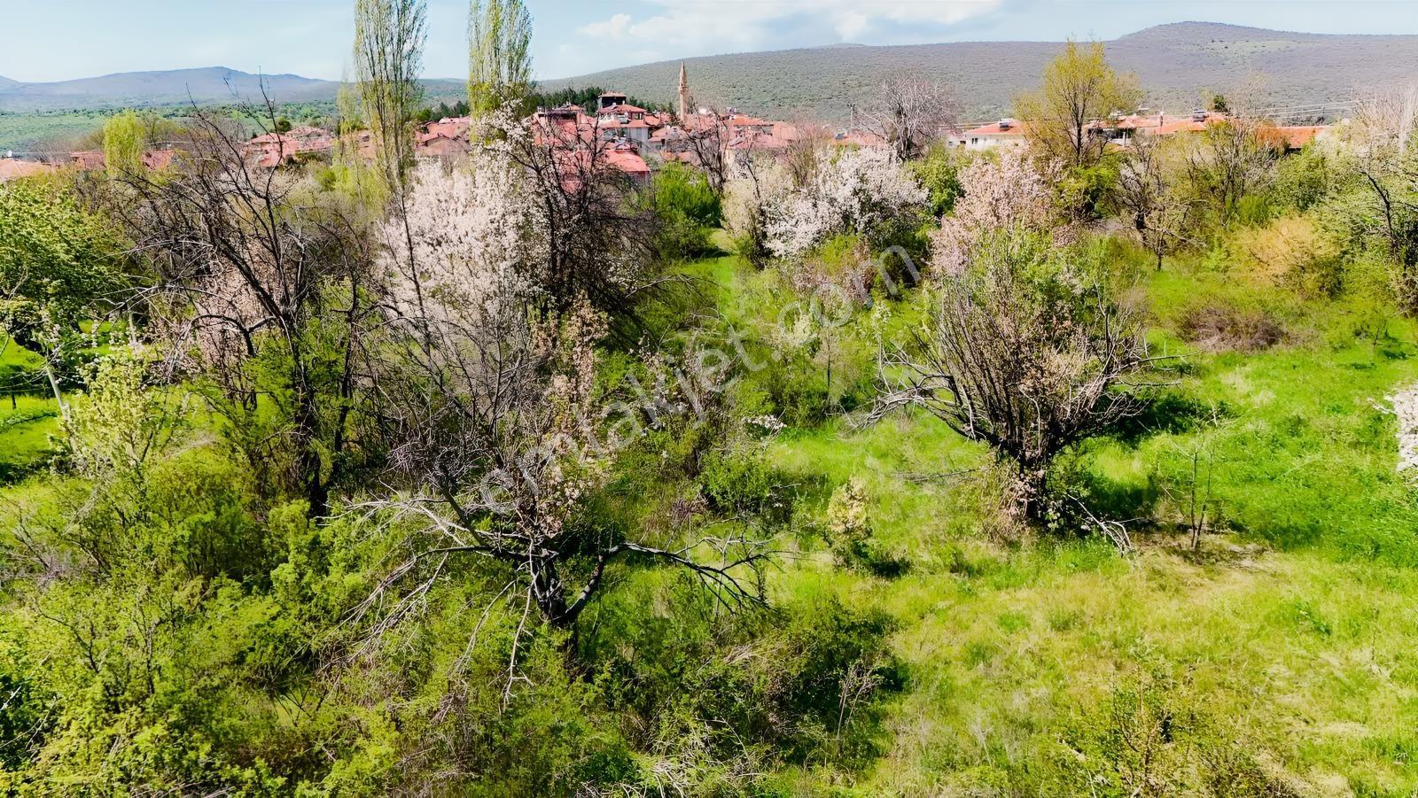 Ayaş Yağmurdede'de Köy Yerleşik Alanı İçinde Geleceğe Yatırım — fotoğraf 3