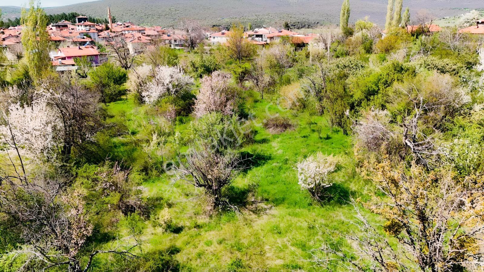Ayaş Yağmurdede'de Köy Yerleşik Alanı İçinde Geleceğe Yatırım — fotoğraf 5