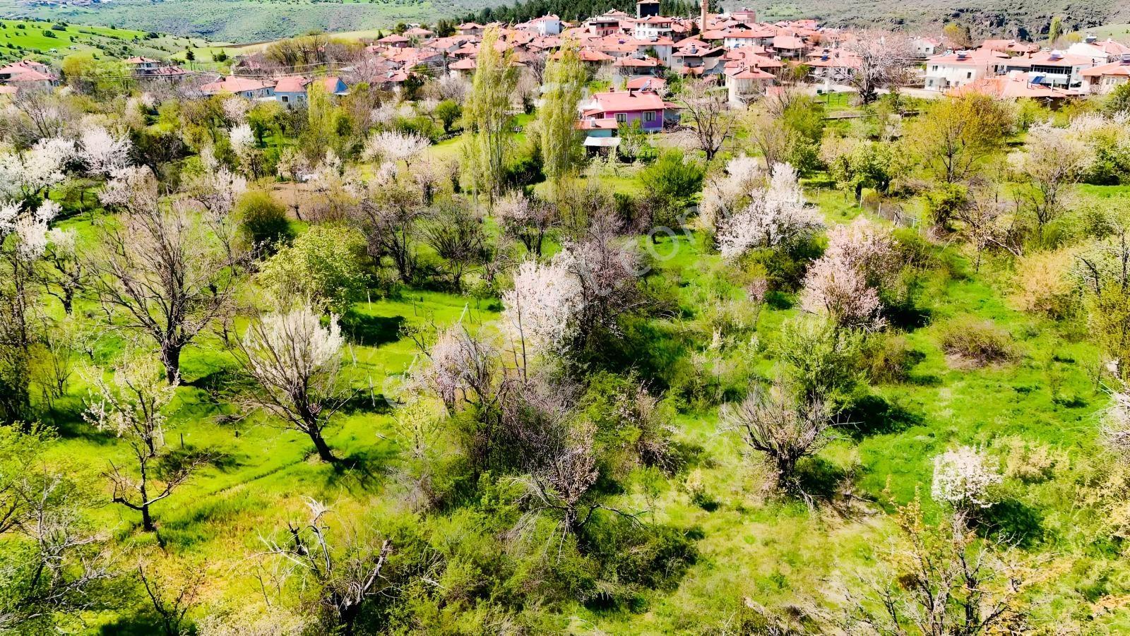 Ayaş Yağmurdede'de Köy Yerleşik Alanı İçinde Geleceğe Yatırım — fotoğraf 6