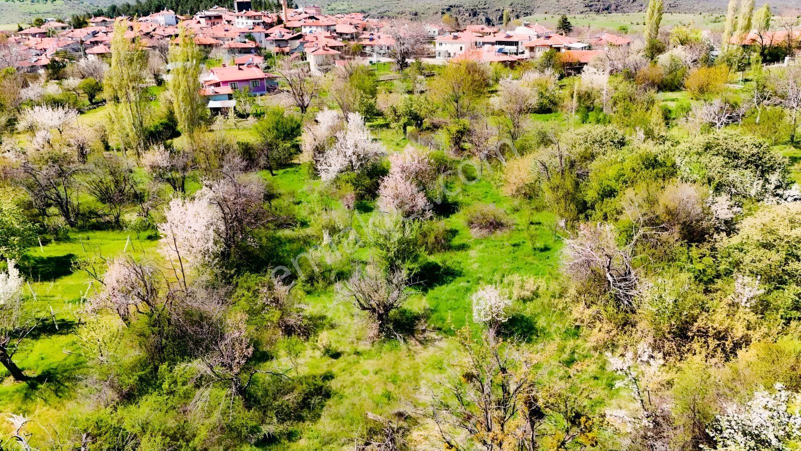 Ayaş Yağmurdede'de Köy Yerleşik Alanı İçinde Geleceğe Yatırım — fotoğraf 7