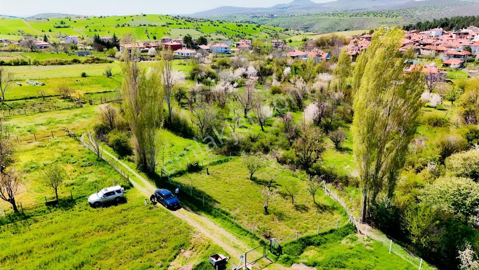 Ayaş Yağmurdede'de Köy Yerleşik Alanı İçinde Geleceğe Yatırım — fotoğraf 8