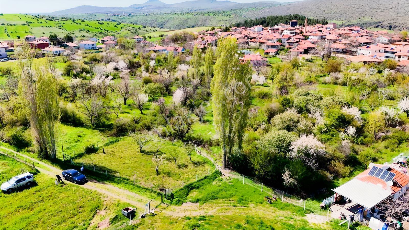 Ayaş Yağmurdede'de Köy Yerleşik Alanı İçinde Geleceğe Yatırım — fotoğraf 9