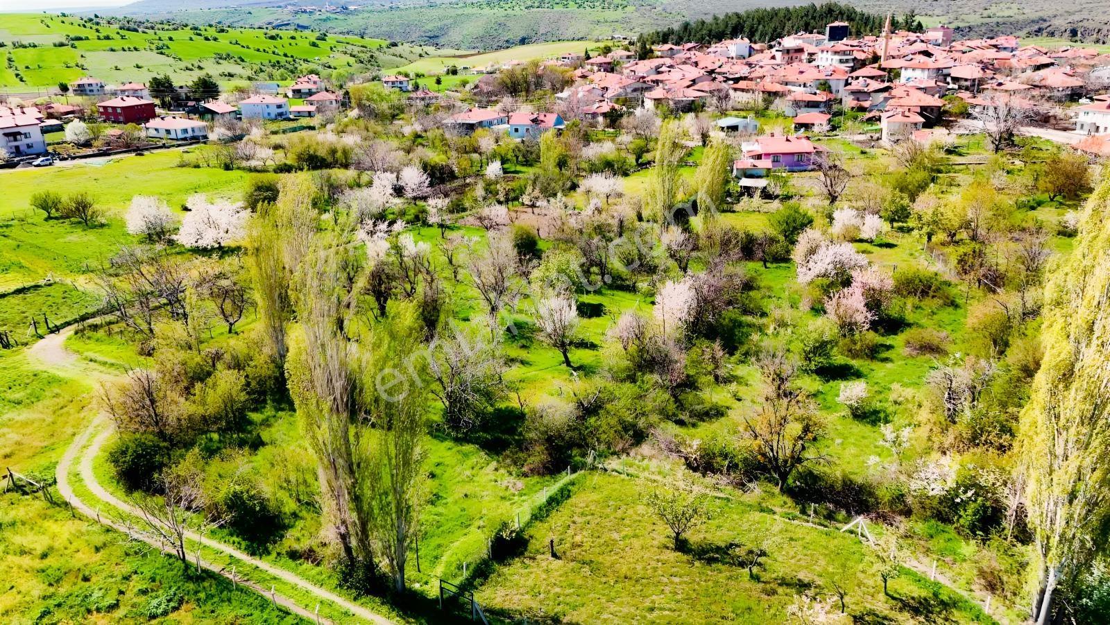 Ayaş Yağmurdede'de Köy Yerleşik Alanı İçinde Geleceğe Yatırım — fotoğraf 11