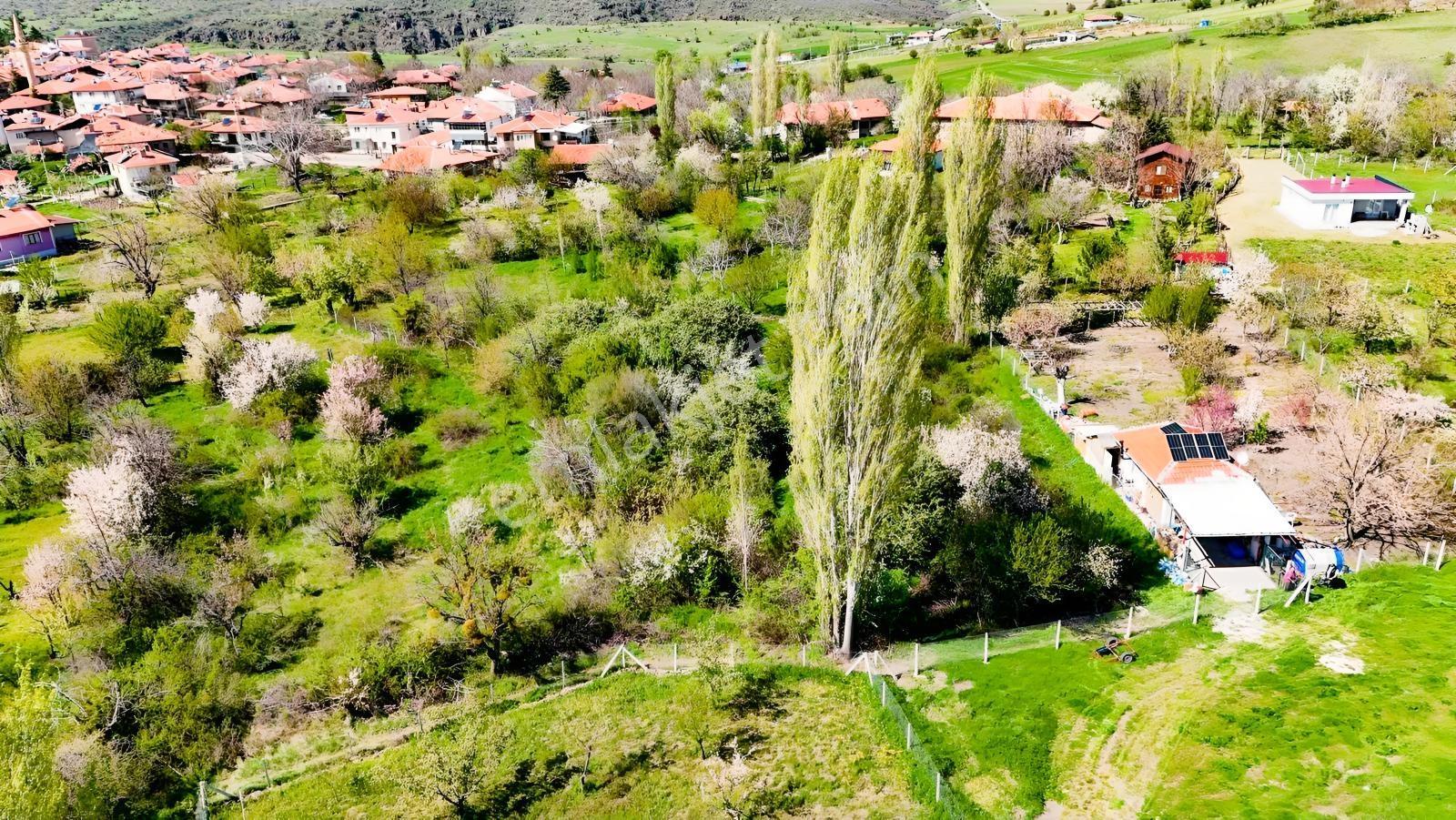 Ayaş Yağmurdede'de Köy Yerleşik Alanı İçinde Geleceğe Yatırım — fotoğraf 12