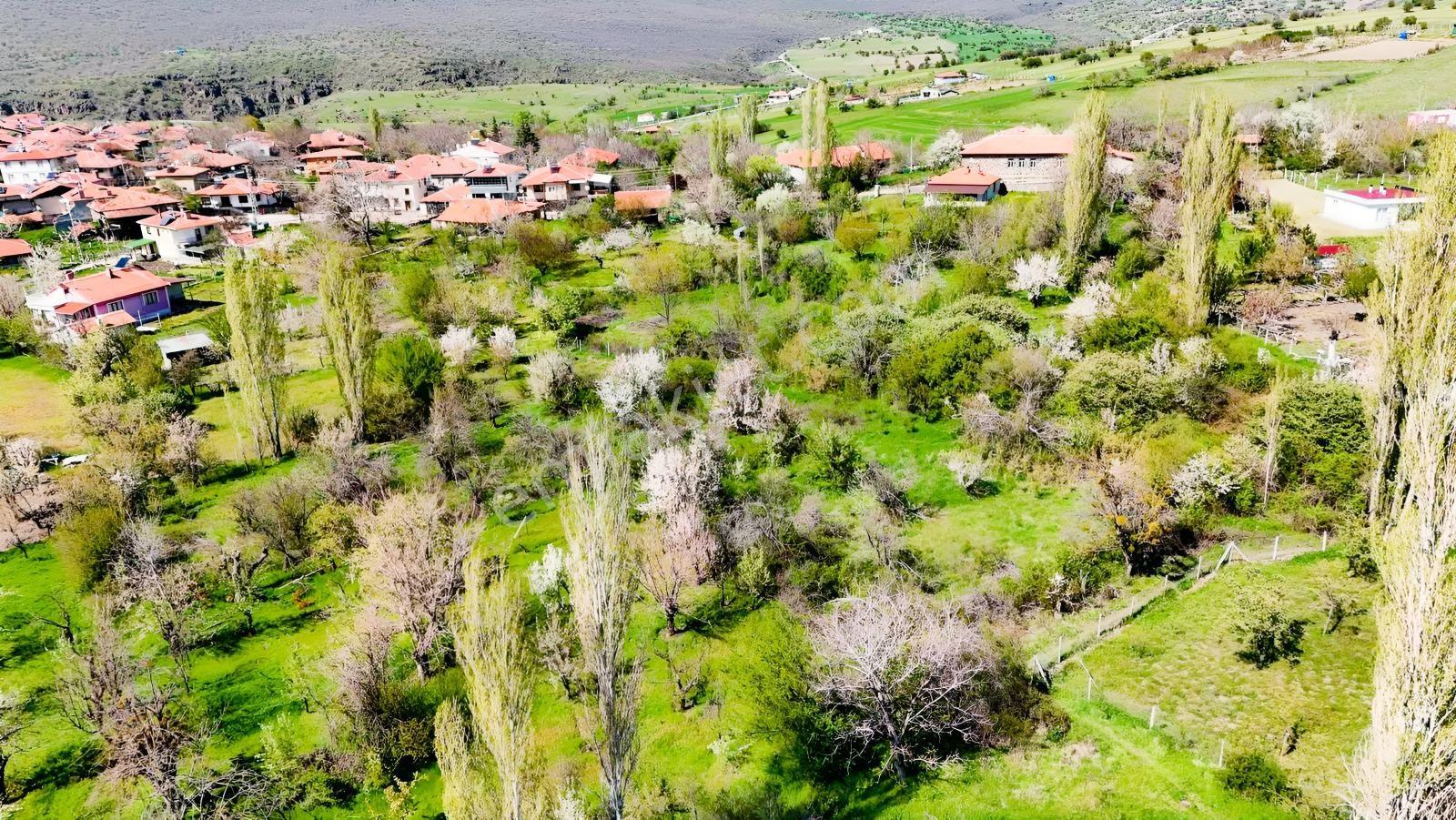 Ayaş Yağmurdede'de Köy Yerleşik Alanı İçinde Geleceğe Yatırım — fotoğraf 13