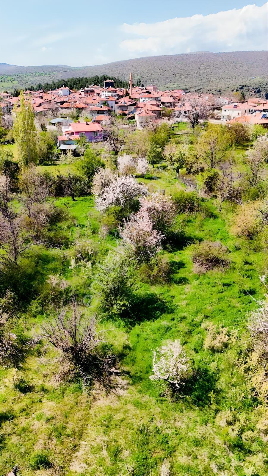 Ayaş Yağmurdede'de Köy Yerleşik Alanı İçinde Geleceğe Yatırım — fotoğraf 14