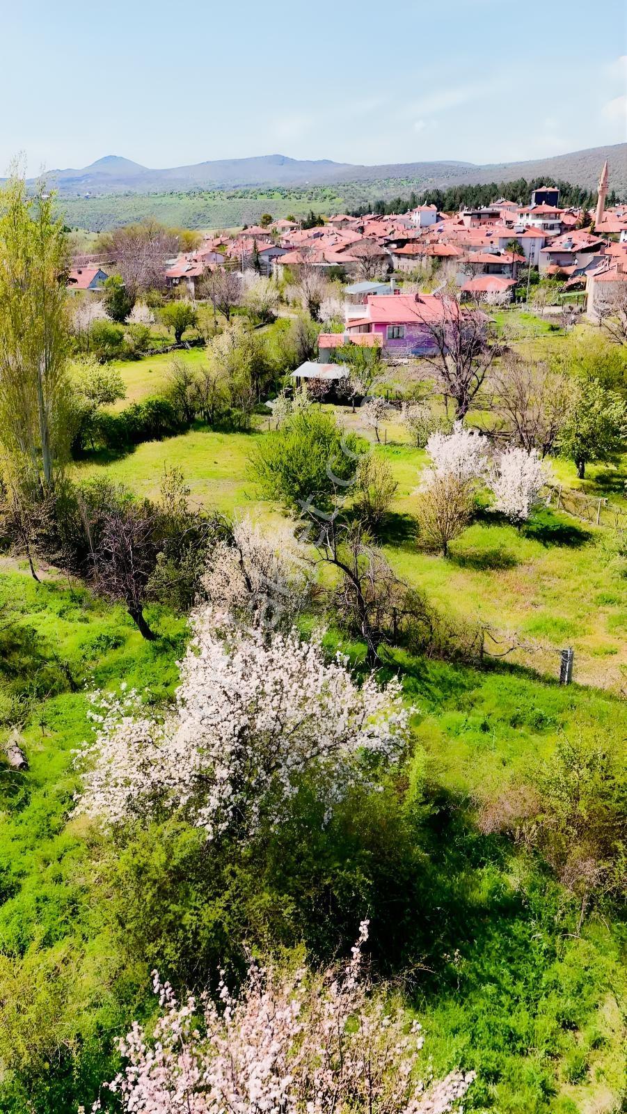 Ayaş Yağmurdede'de Köy Yerleşik Alanı İçinde Geleceğe Yatırım — fotoğraf 15