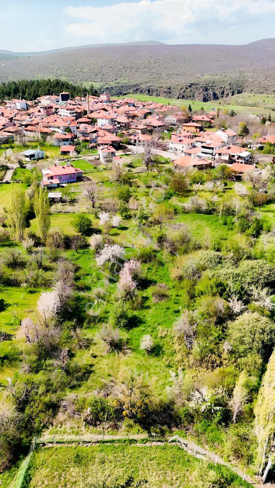 Ayaş Yağmurdede'de Köy Yerleşik Alanı İçinde Geleceğe Yatırım — fotoğraf 17