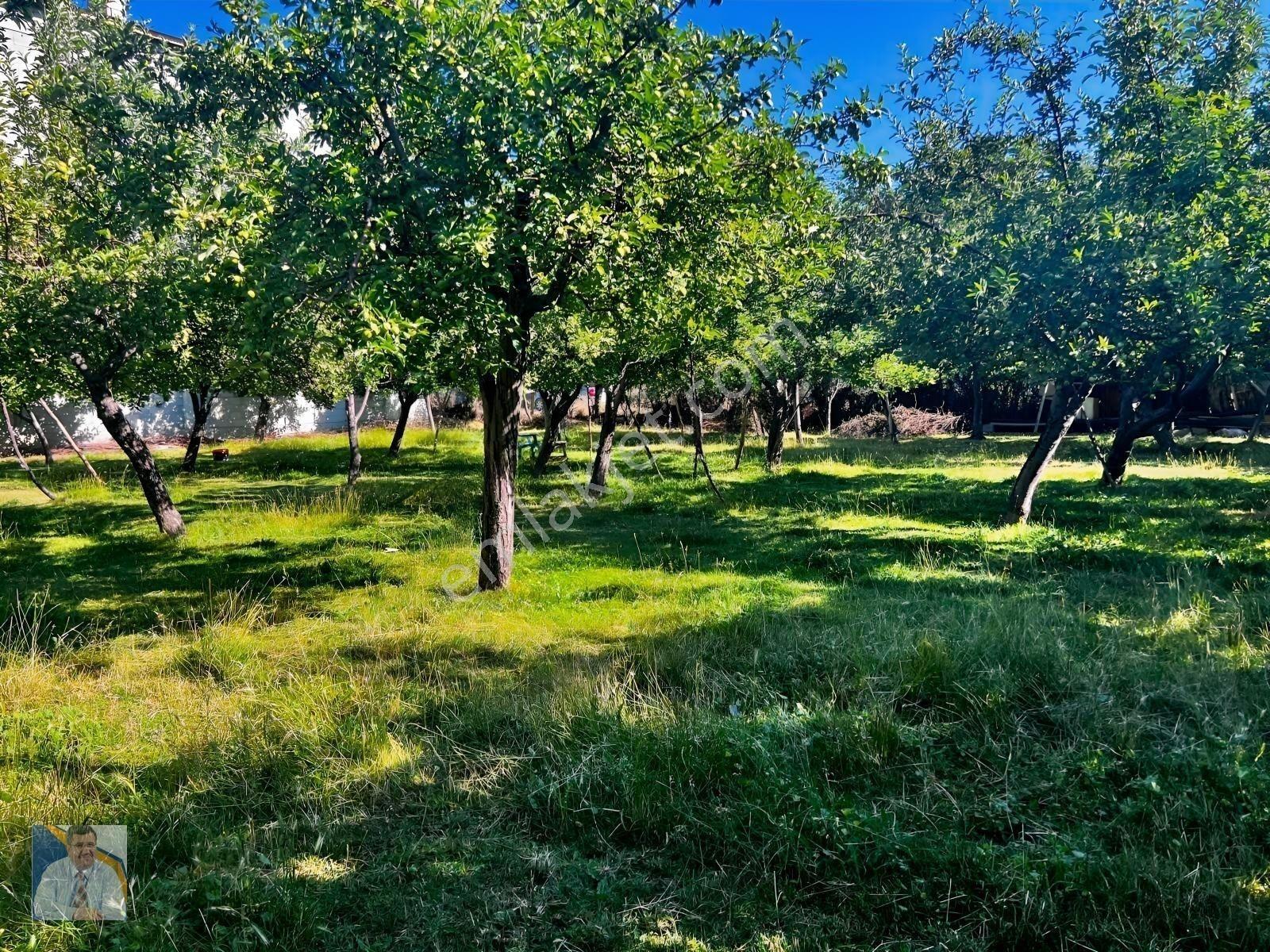 Buzhane Mahallesinde 483 M2 Satılık Arsa — fotoğraf 2