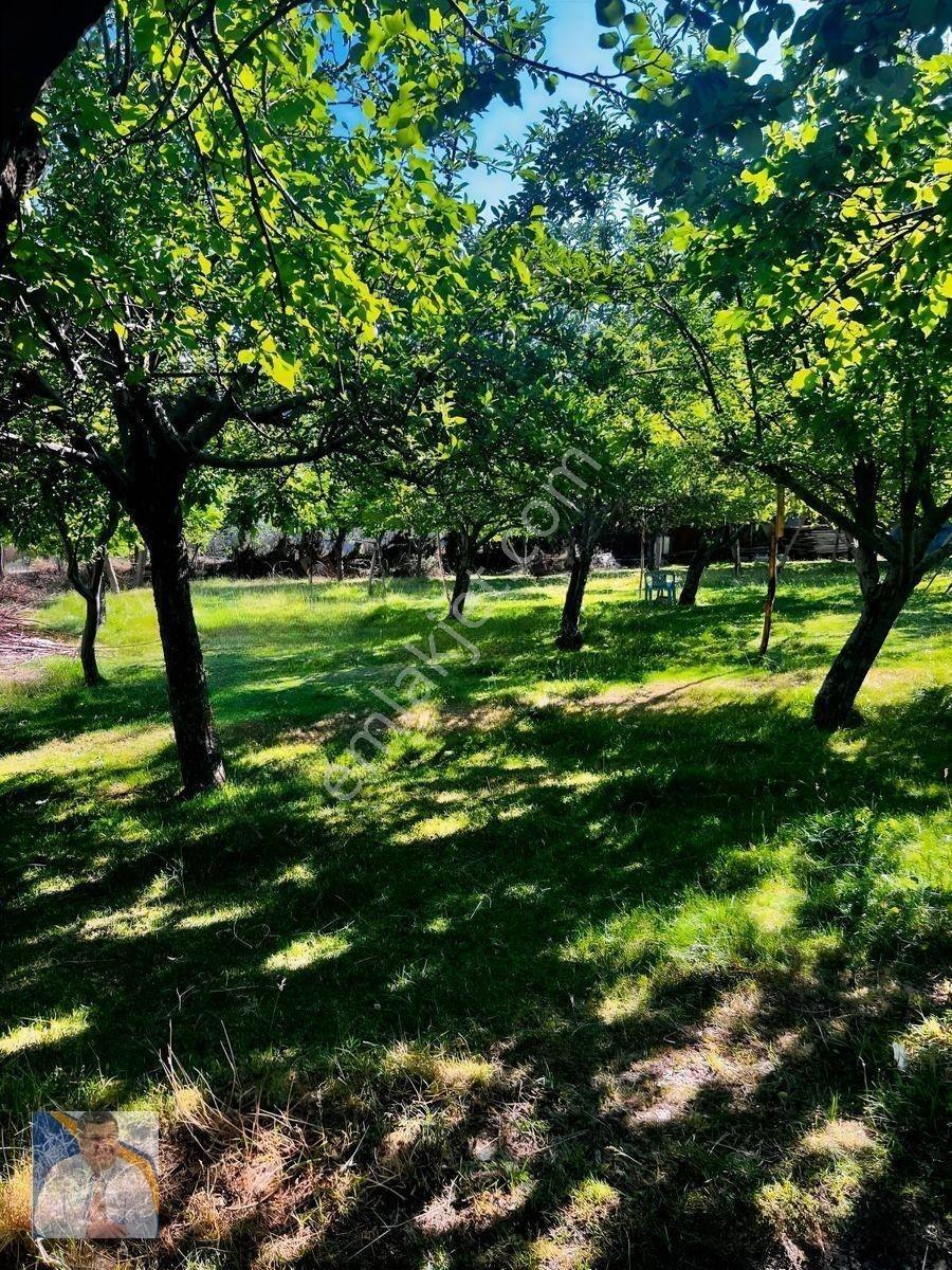 Buzhane Mahallesinde 483 M2 Satılık Arsa — fotoğraf 3