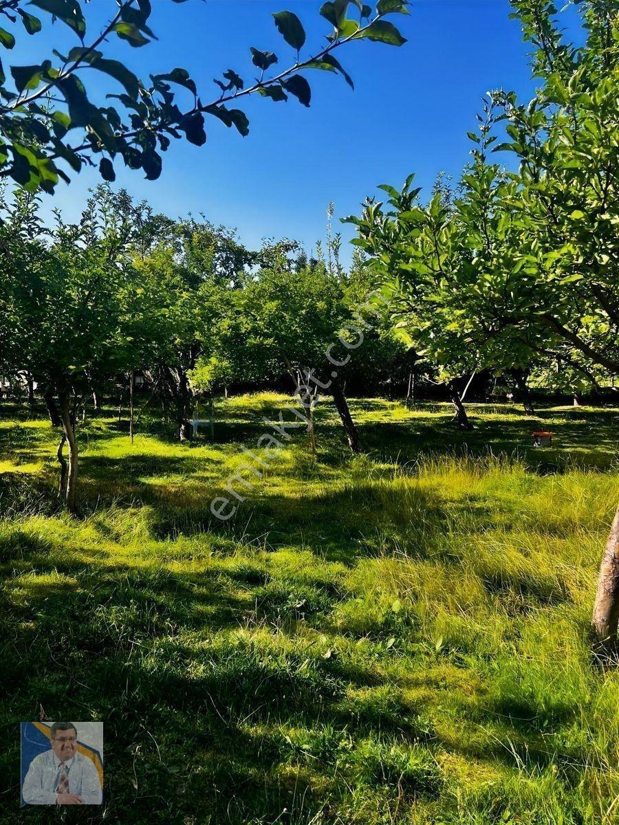 Buzhane Mahallesinde 483 M2 Satılık Arsa — fotoğraf 4