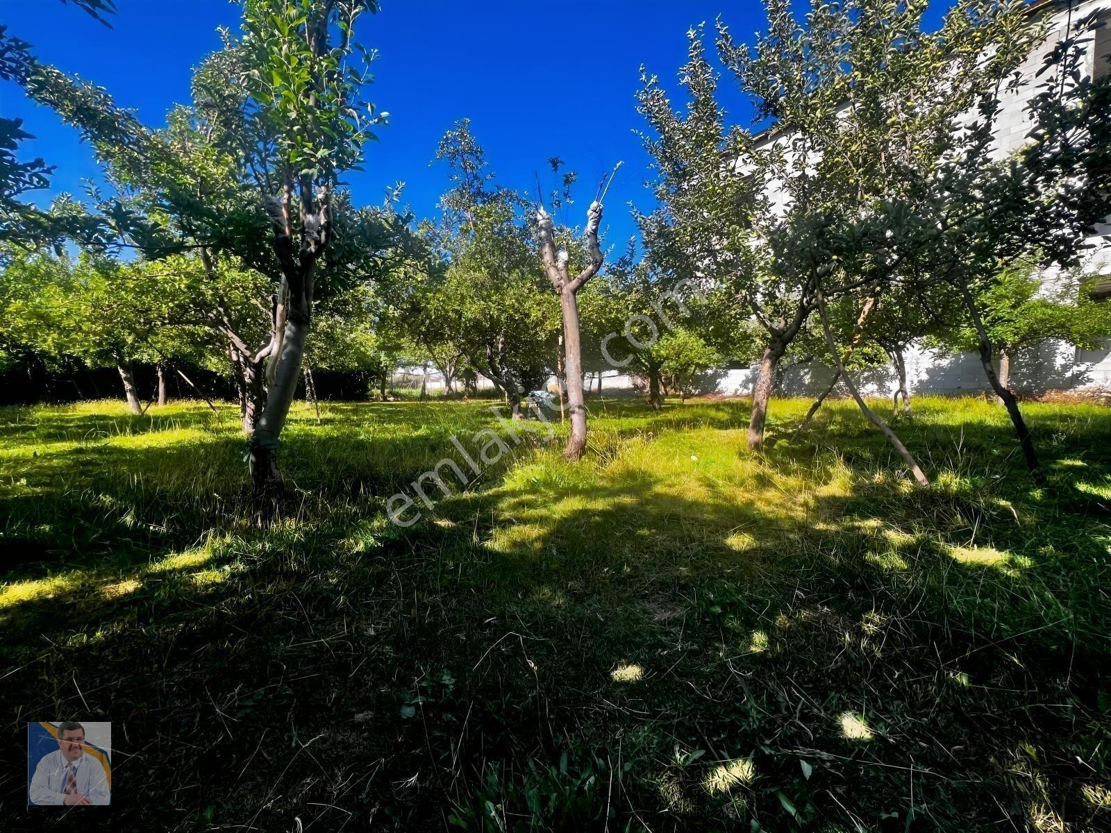 Buzhane Mahallesinde 483 M2 Satılık Arsa — fotoğraf 6