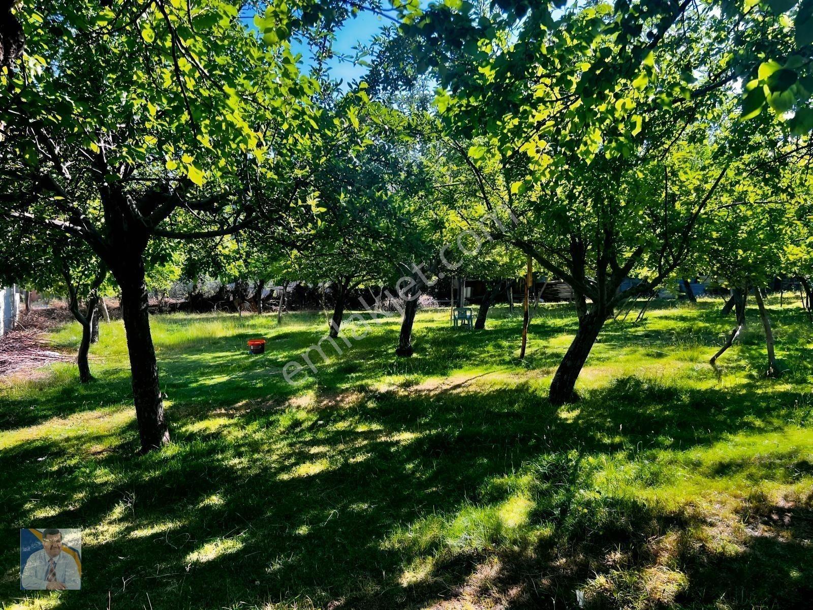 Buzhane Mahallesinde 483 M2 Satılık Arsa — fotoğraf 7
