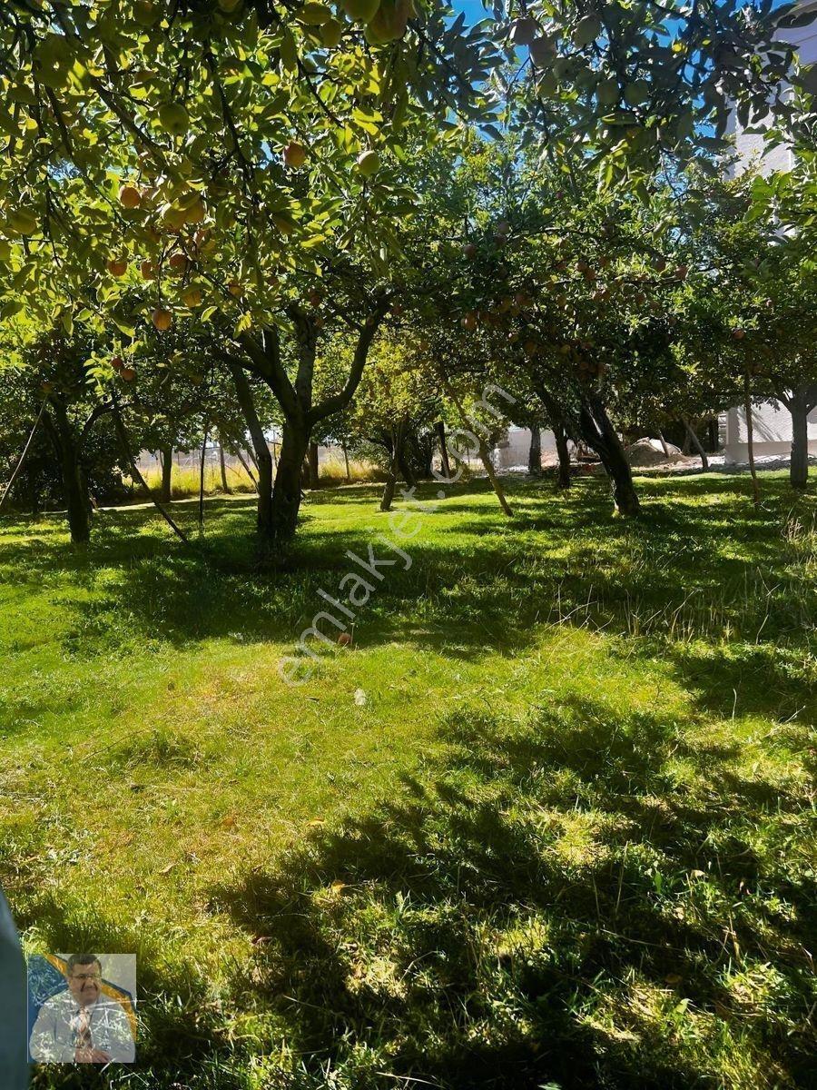 Buzhane Mahallesinde 483 M2 Satılık Arsa — fotoğraf 8