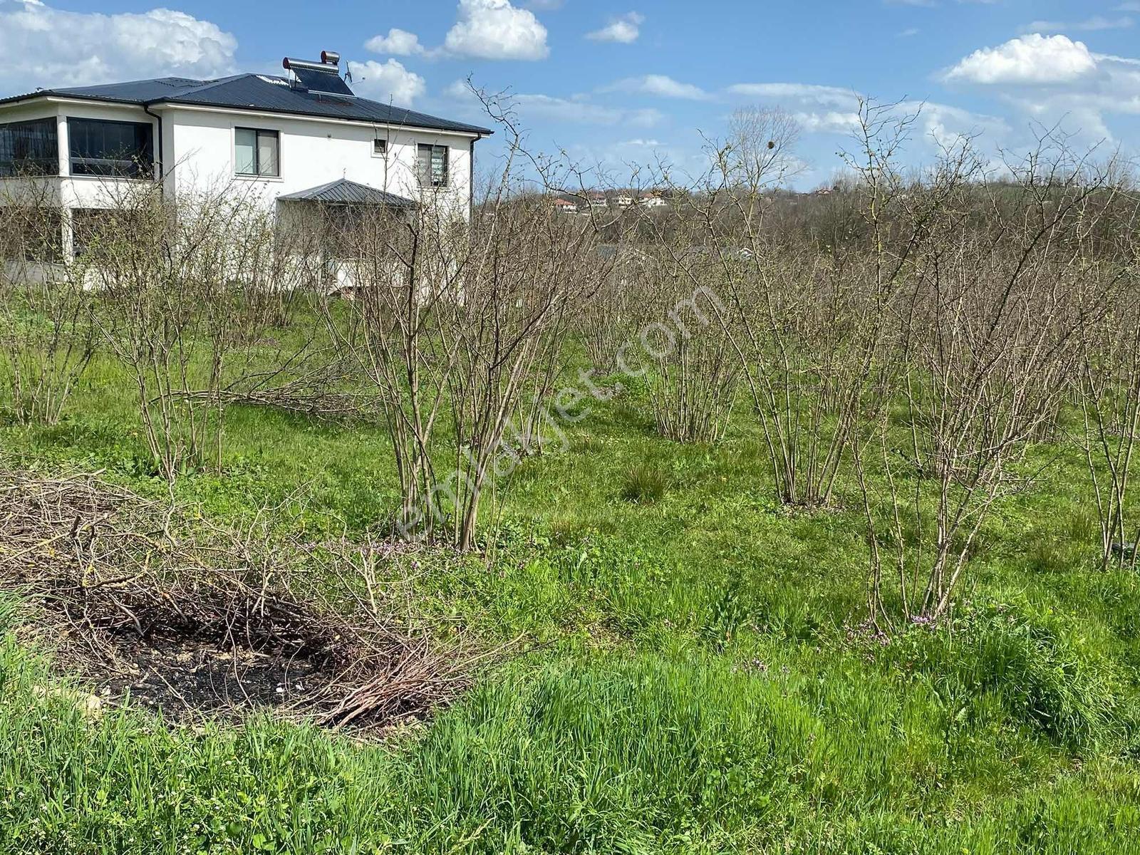 Sakarya Kaynarcada Yazlık Yapmak Veya Yatırımlık Fırsat Tarla — fotoğraf 3