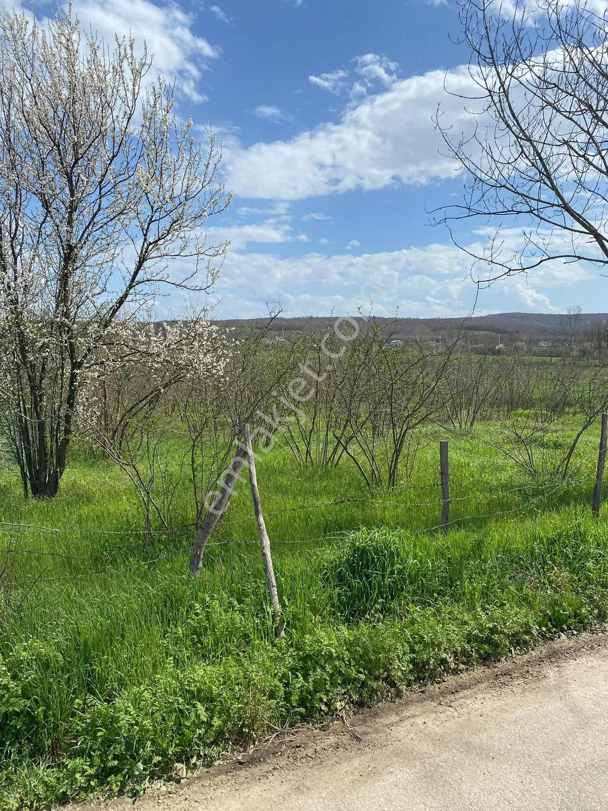 Sakarya Kaynarcada Yazlık Yapmak Veya Yatırımlık Fırsat Tarla — fotoğraf 5