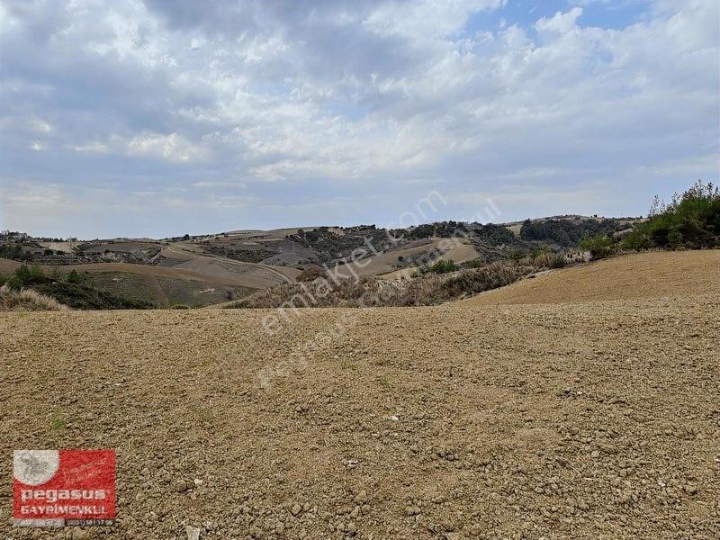 Pegasus'tan Adana Çukurova Şambayatta İmarlı Arsa Hissesi — fotoğraf 5