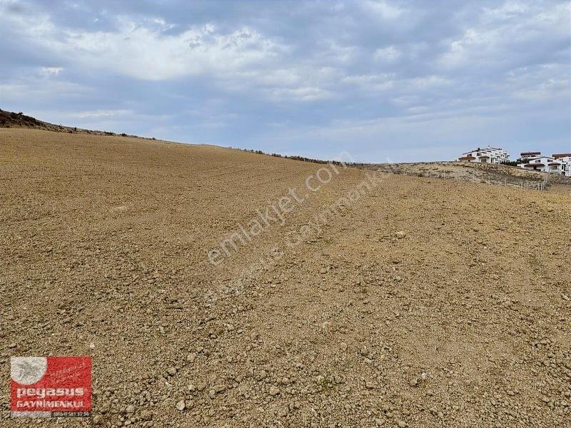 Pegasus'tan Adana Çukurova Şambayatta İmarlı Arsa Hissesi — fotoğraf 11