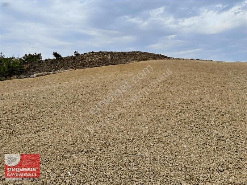 Pegasus'tan Adana Çukurova Şambayatta İmarlı Arsa Hissesi — fotoğraf 12