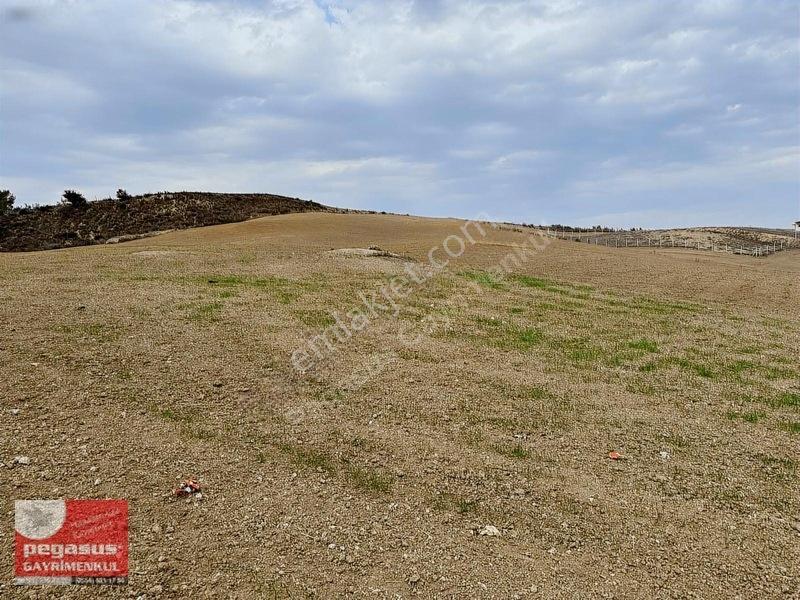 Pegasus'tan Adana Çukurova Şambayatta İmarlı Arsa Hissesi — fotoğraf 15