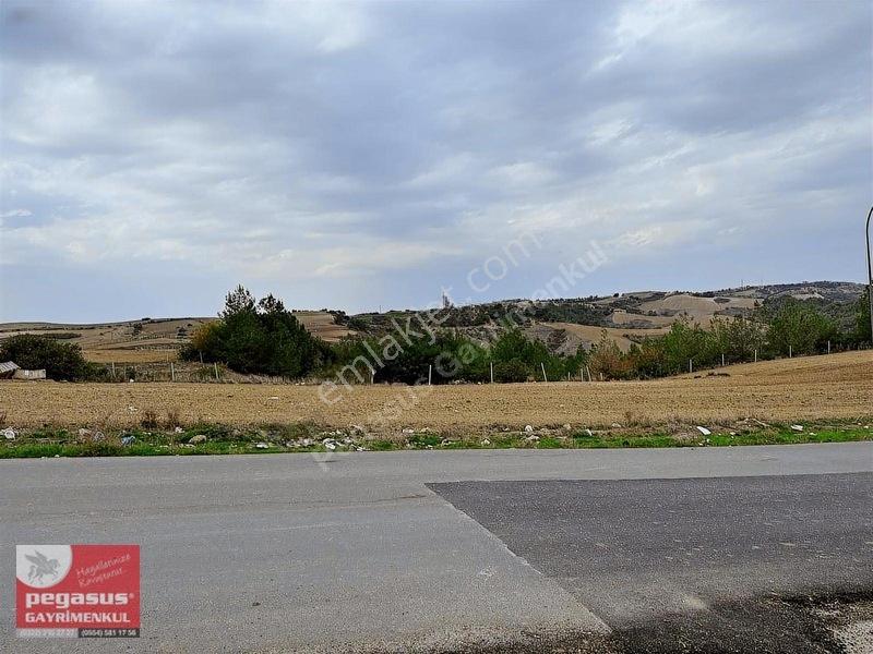 Pegasus'tan Adana Çukurova Şambayatta İmarlı Arsa Hissesi — fotoğraf 21